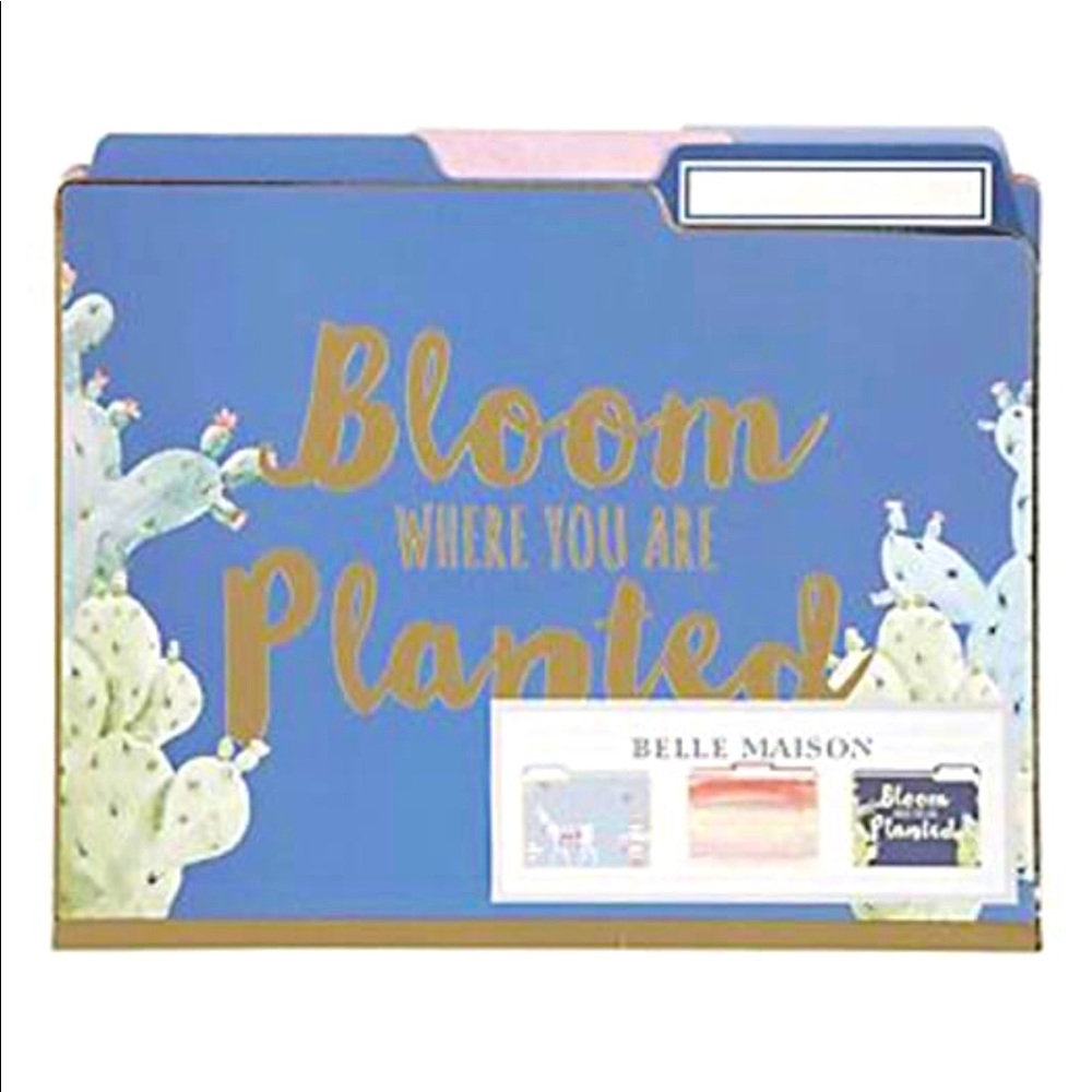 Belle Maison Llama Alpaca Succulents Decorative Letter Size File Folders, 12 ct